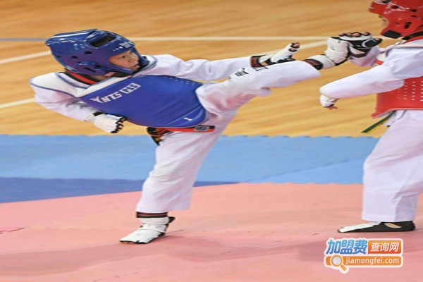 正格武道馆加盟费