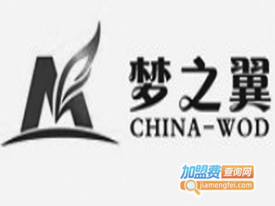 梦之翼记忆开发加盟费