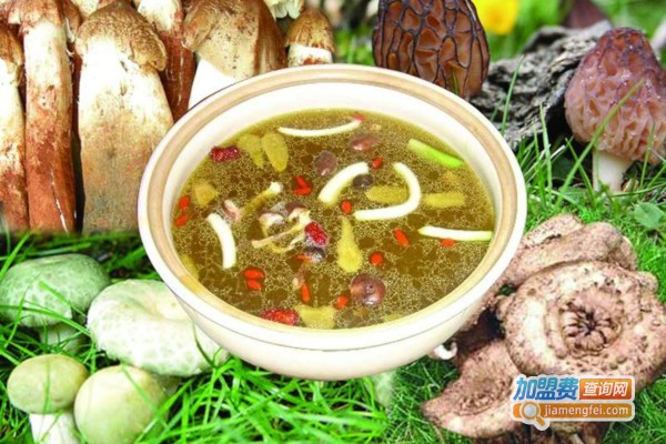 红嘴鸥云南野生菌火锅加盟费