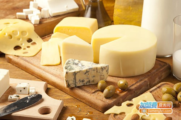 芝士少儿英语加盟费