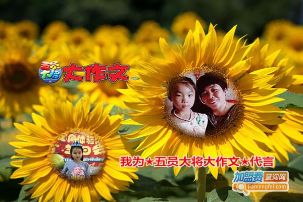 五员大将大作文