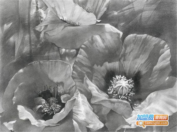 李源画室加盟费