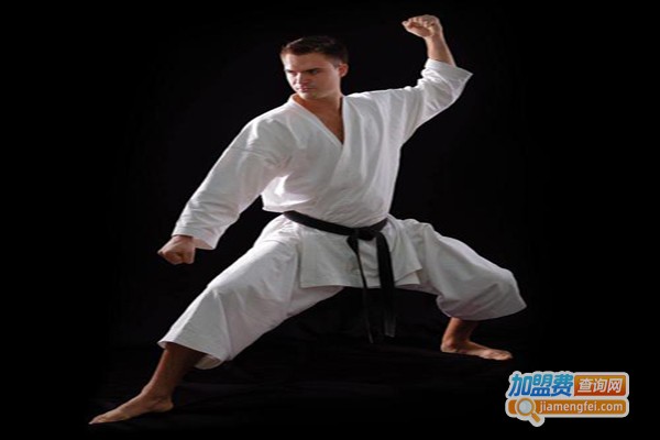 全毅会空手道加盟费