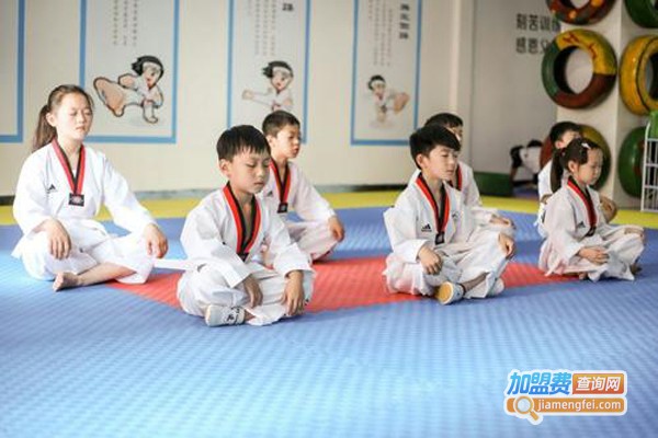 旋风跆拳道加盟费