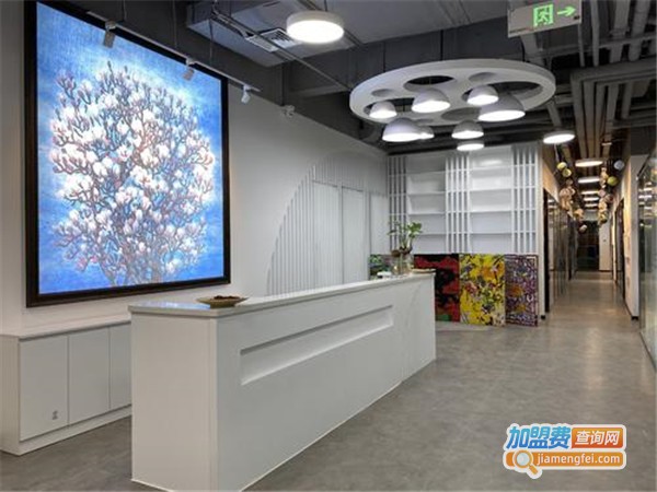 彩色圆点艺术空间加盟门店