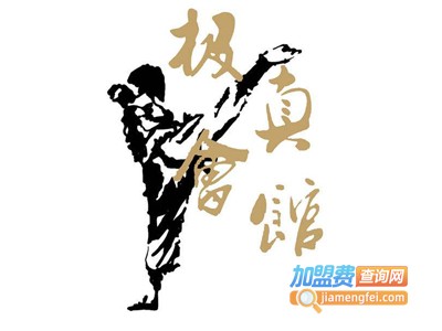 极真空手道会馆加盟