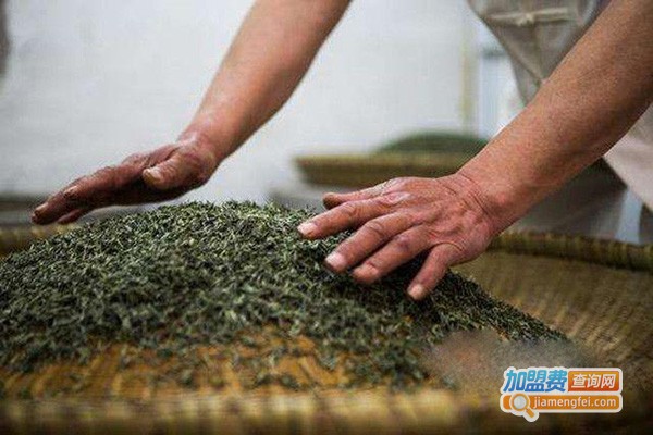 狮口银芽加盟门店