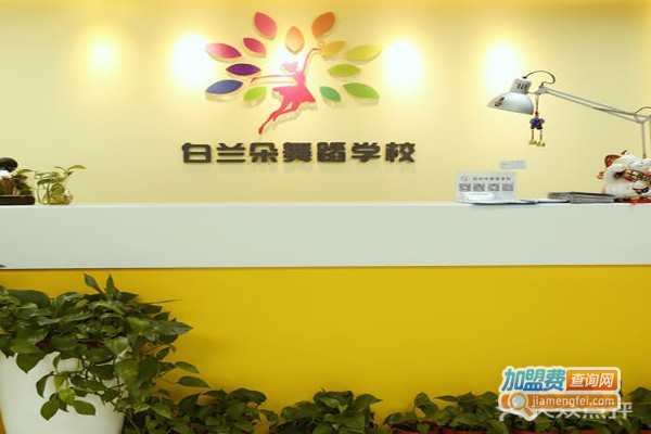 白兰朵舞蹈加盟费