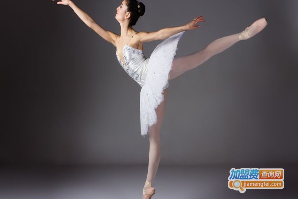 芭蕾娜国际教育加盟费