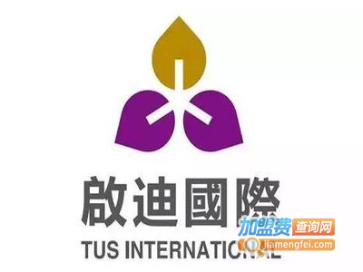 启迪艺术培训中心加盟费