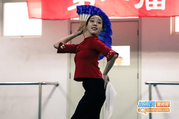 馨艺舞蹈加盟费