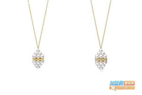 tasaki珠宝加盟门店