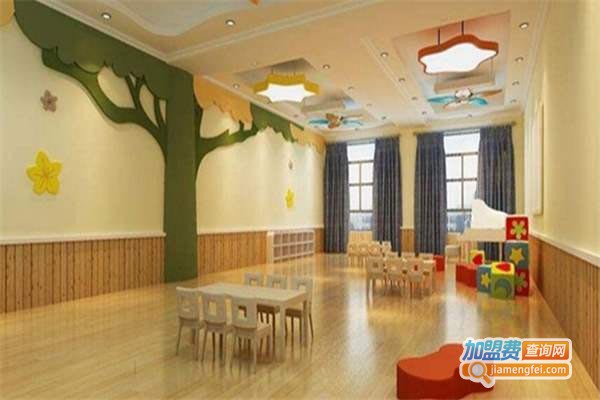 大卫奇妙教育加盟门店