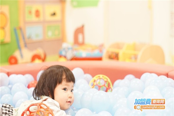 小松树早教中心加盟