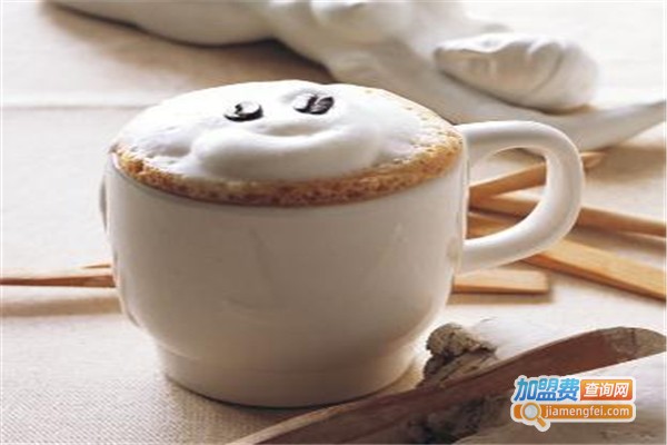 盐值奶茶加盟费