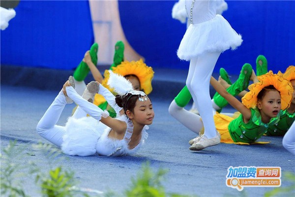 i Ballet国际少儿芭蕾加盟费