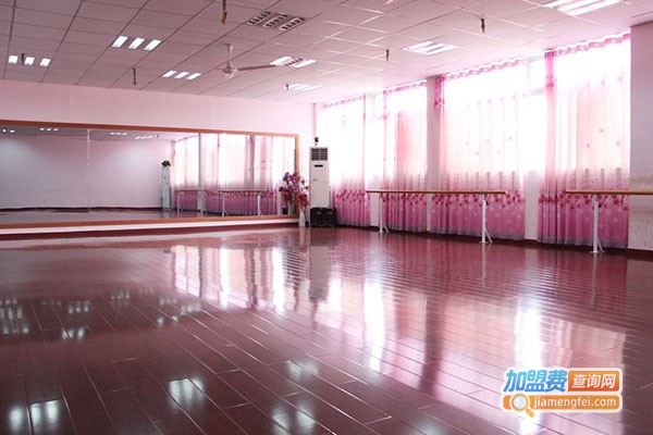 美之舞艺术培训中心加盟费