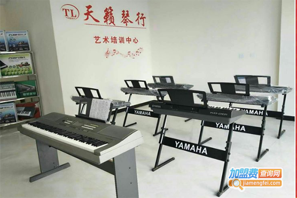 天籁琴行艺术培训中心加盟门店