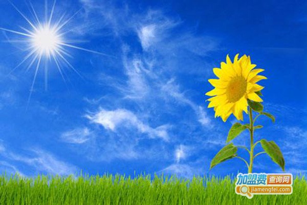 向日葵午托加盟门店