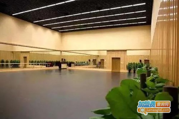 贝娜艺术培训中心加盟费