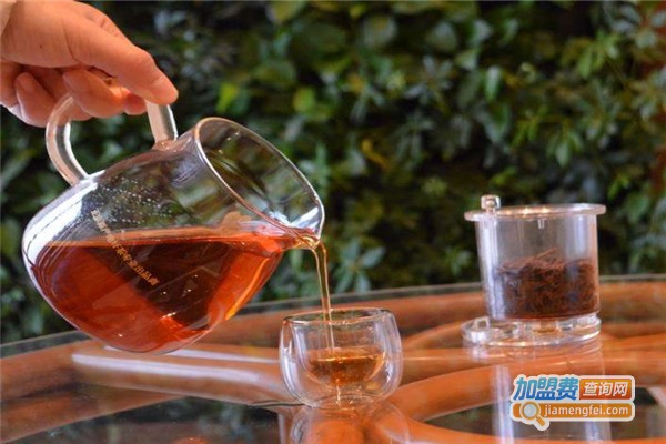 东游寻茶加盟费