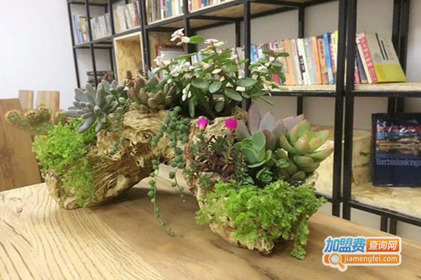 初中数学辅导班加盟