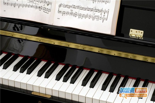 菠萝琴行加盟费