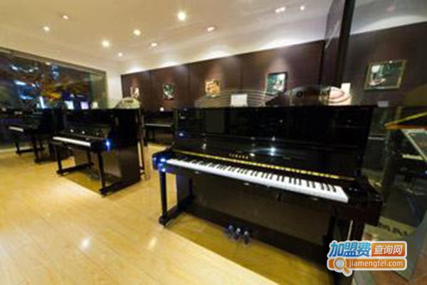 星辰琴行加盟门店