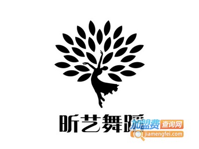 昕艺舞蹈加盟费