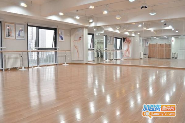 春蕾舞蹈培训中心加盟费