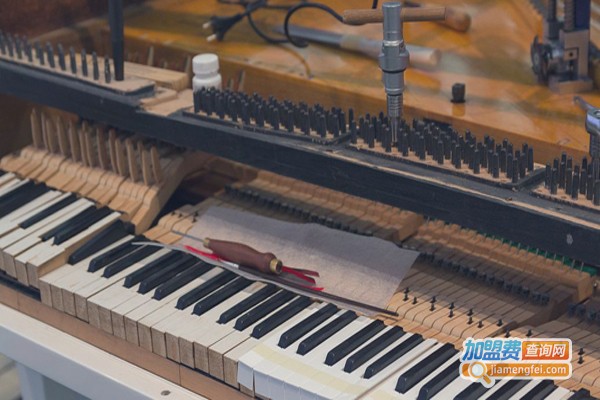 琴筝阁琴行加盟费