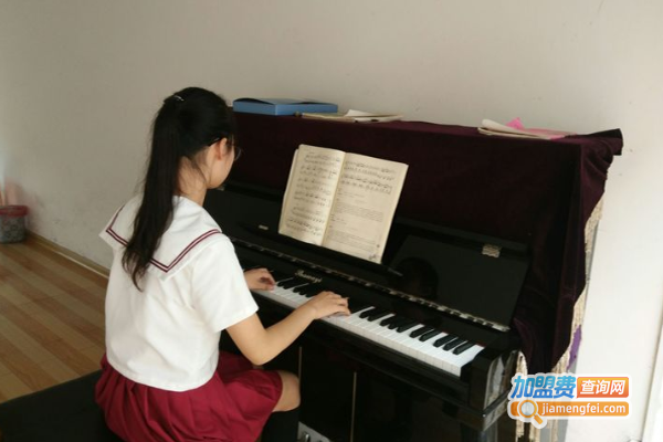 华艺音乐培训加盟_开店加盟华艺音乐培训，远距离超越小康生活！