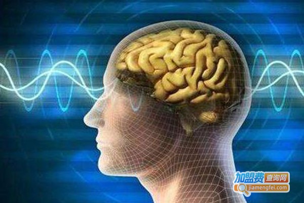 博雅脑力开发加盟费