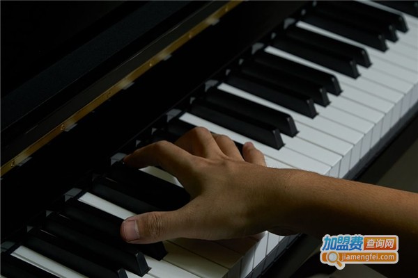 菠萝琴行加盟费