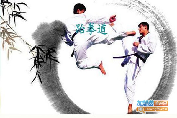 迈可达跆拳道俱乐部加盟费