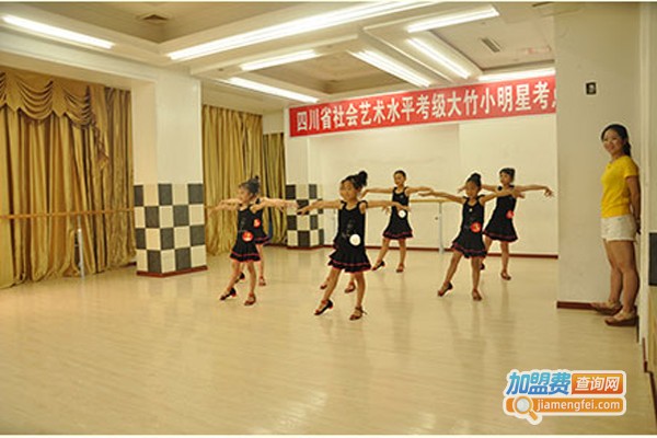 明星艺术加盟费