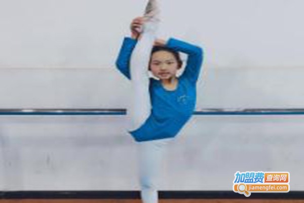 星光舞蹈艺术培训中心加盟费