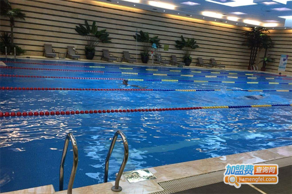 奥尔维斯国际游泳培训加盟费