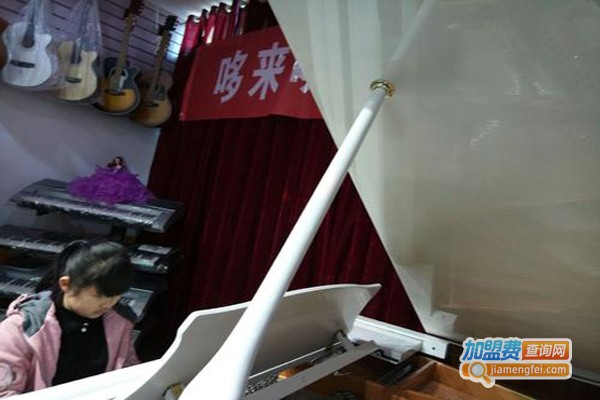哆来咪钢琴艺术中心加盟费