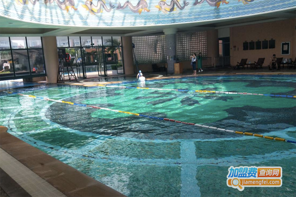 奥尔维斯国际游泳培训加盟费