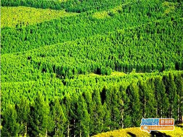 林业技术培训中心加盟费