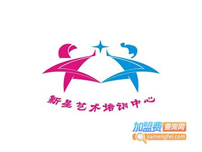 新星艺术加盟费