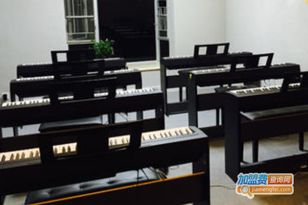 唯艺琴行加盟费