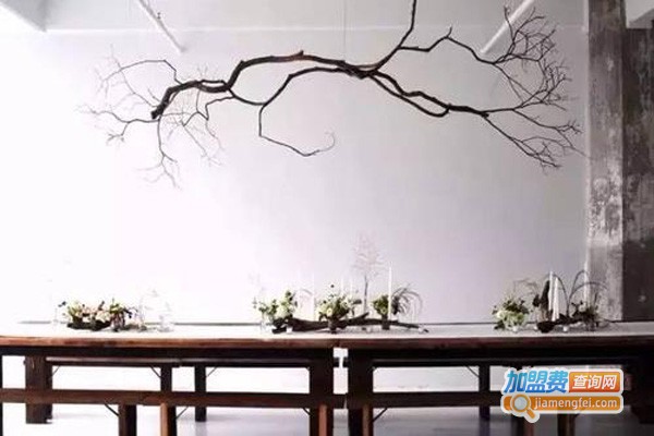 大树枝早教加盟