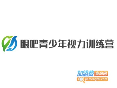 眼吧青少年视力训练营加盟