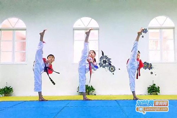 迈可达跆拳道俱乐部加盟费