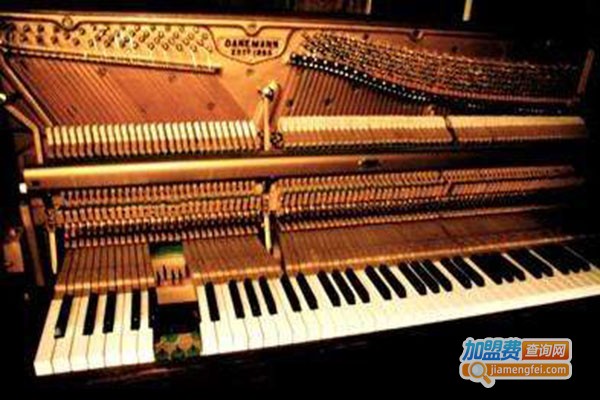 贝多芬钢琴艺术中心加盟门店