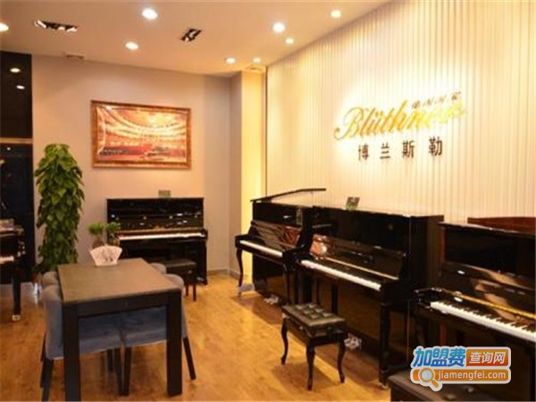 蚂蚁琴行加盟门店