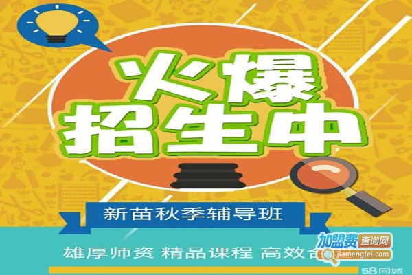 新苗教育加盟费