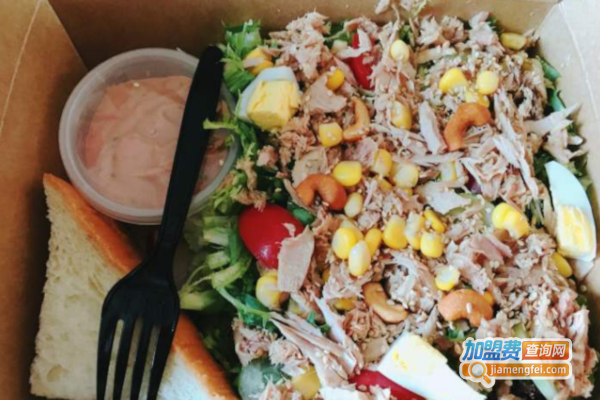 你好蔬叔加盟费